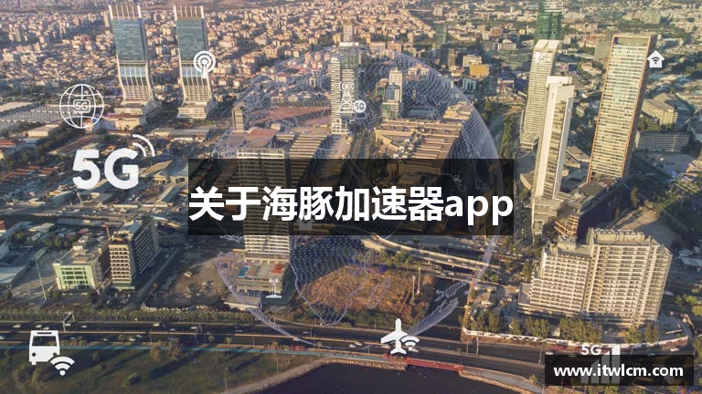 关于海豚加速器app